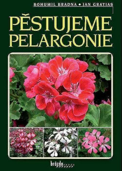 Pěstujeme pelargonie