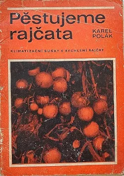 Pěstujeme rajčata
