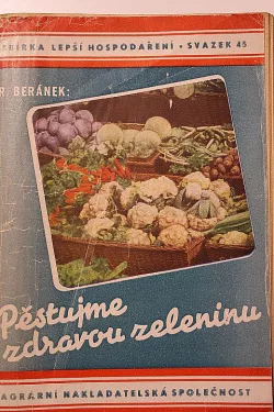 Pěstujme zdravou zeleninu