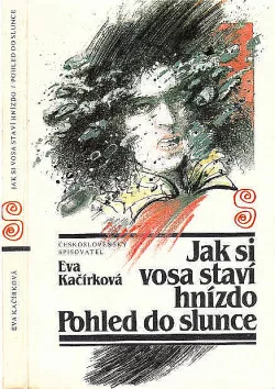 Jak si vosa staví hnízdo / Pohled do slunce