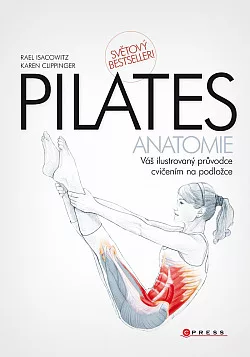 Pilates - anatomie