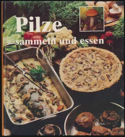 Pilze sammeln und essen