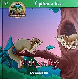 Plch velký