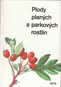 Plody planých a parkových rostlin