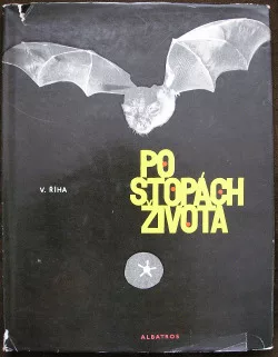 Po stopách života