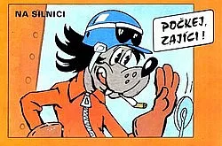Počkej, zajíci! Na silnici