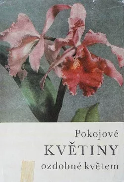 Pokojové květiny ozdobné květem