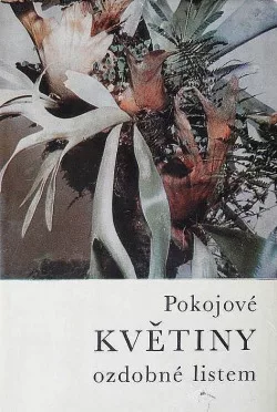 Pokojové květiny ozdobné listem