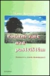 Polární záře nad pastvištěm