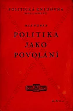 Politika jako povolání
