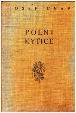 Polní kytice
