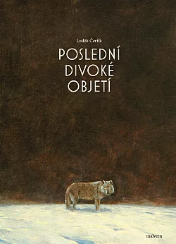 Poslední divoké objetí