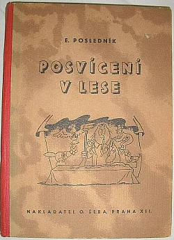 Posvícení v lese