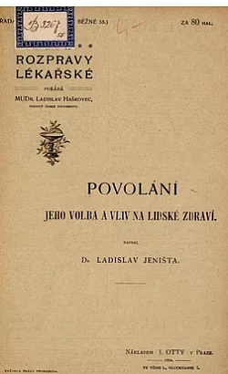 Povolání, jeho volba a vliv na lidské zdraví