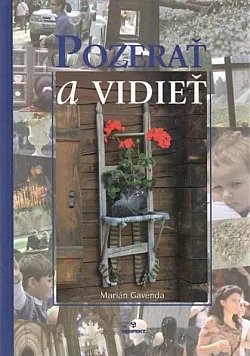 Pozerať a vidieť