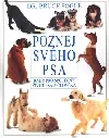 Poznej svého psa
