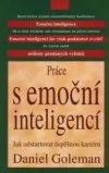 Práce s emoční inteligencí