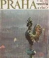 Praha v barevném reliéfu