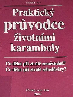 Praktický průvodce životními karamboly