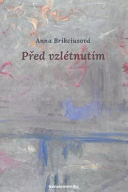 Před vzlétnutím