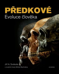 Předkové: Evoluce člověka