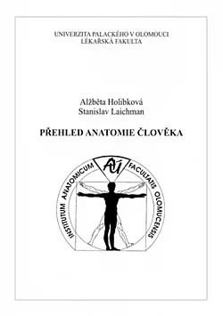 Přehled anatomie člověka