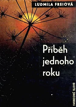 Příběh jednoho roku