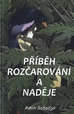 Příběh rozčarování a naděje