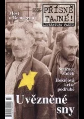 Uvězněné sny
