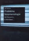 Problémy fenomenologie