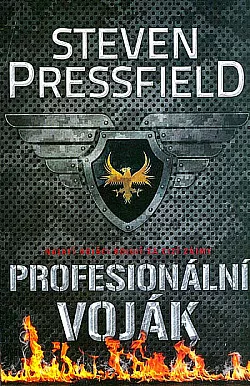 Profesionální voják