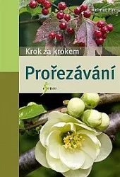 Prořezávání - krok za krokem