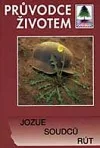 Jozue, Soudců, Rút