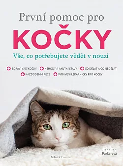 První pomoc pro kočky - Vše, co potřebujete vědět v nouzi