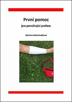 První pomoc pro pomáhající profese