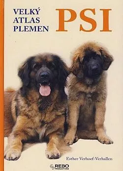 Psi