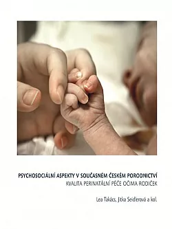 Psychosociální aspekty v současném českém porodnictví - Kvalita perinatální péče očima rodiček