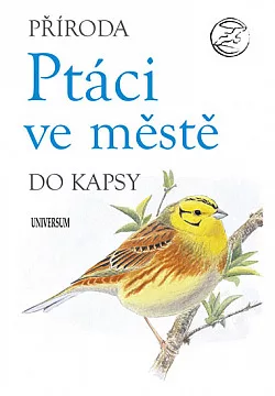 Ptáci ve městě