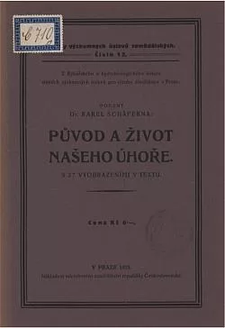 Původ a život našeho úhoře