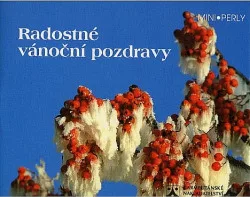 Radostné vánoční pozdravy