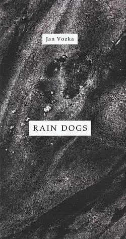 Rain dogs