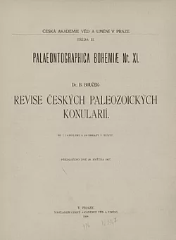 Revize českých paleozoických konulárií
