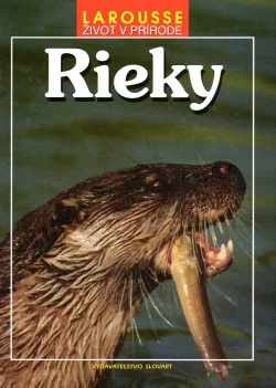 Rieky