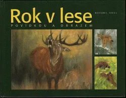 Rok v lese povídkou a obrazem
