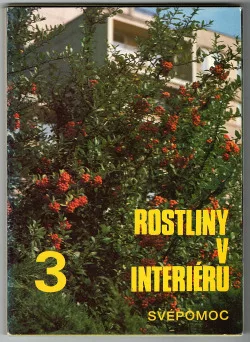 Rostliny v interiéru 3