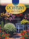 Rostliny v nádobách