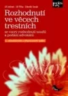 Rozhodnutí ve věcech trestních: Se vzory rozhodnutí soudů a podání advokátů