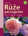 Růže
