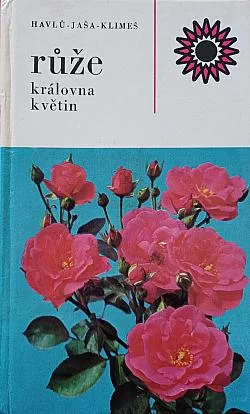 Růže - královna květin