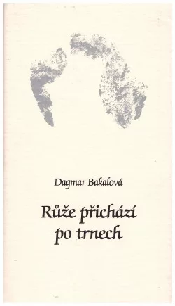 Růže přichází po trnech